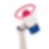 megaphone-vote_edited.png